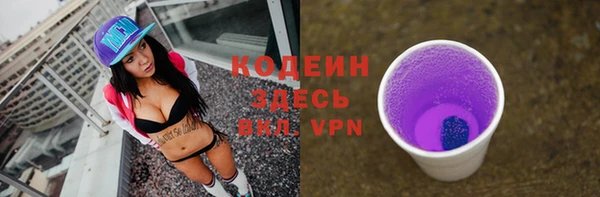 молекула духа Козельск