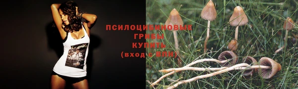 соль ск Корсаков