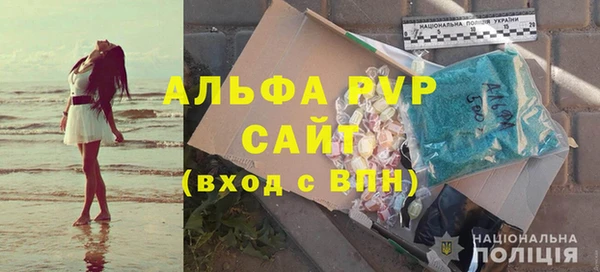 молекула духа Козельск