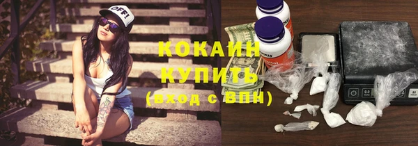 индика Киренск